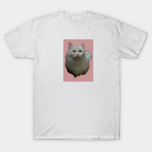 Pink pussy T-Shirt